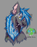 NRWArtz.Vex_.BRFF_.final_