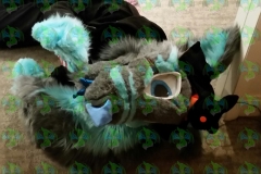 20170409_230942-1